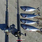 Imagen de los peces y de las cañas intervenidas.