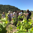 Una activitat d'enoturisme en unes vinyes de la DO Tarragona.