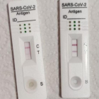 Imatge d'arxiu de dos test d'antígens.