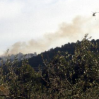 Un helicóptero bombardero sobrevolando el incendio declarado en una parcela de les Borges del Camp.