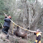 Dos caçadors traslladant un porc senglar capturat a les comarques de Tarragona.