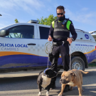 Un agente local con dos perros de raza potencialmente peligrosa.