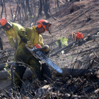 Imagen de dos operarios trabajando en la construcción de fajinas en la zona del incendio de Ribera de Ebro