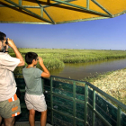 Una familia realiza observaciones con prismáticos en el Delta del Ebro.