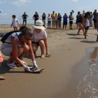 Dos nens observen com una dona allibera un exemplar de tortuga careta a la platja de l'Alfacada, a Sant Jaume d'Enveja.