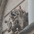 Imatge del con de trànsit a la façana de la Catedral de Cuenca.