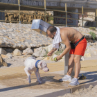 El año pasado se instaló un espacio para perros en la playa del Milagro de Tarragona.