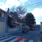 Los Bombers retiran un árbol en la avenida Marca Hispánica de Calafell.