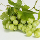 Imagen de archivo de un racimo de uva.