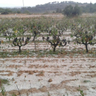 Unió de Pagesos calcula que la granizada ha causado graves daños en las cosechas de viña y almendra