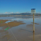 Pal de senyalització d'una àrea de nidificació d'ocells al Delta de l'Ebre.