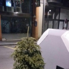 Josep Vidal fotografió este árbol de Navidad depositado al lado de un contenedor después de las fiestas.