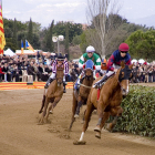 Les curses de cavalls i els concerts, plats forts de les festes de Sant Antoni