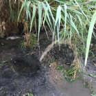 El col·lector vessa aigües residuals durant més d'un dia a la llera del riu Gaià