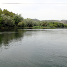 Plan|Plano general de la zona del margen izquierdo del río Ebro, en el término municipal de Miravet.