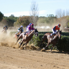 Els participants a una de les tres curses que es van disputar ahir al matí al parc de la Torre d'en Dolça, a Vila-seca.