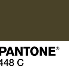 El color Pantone 448C, considerado el más feo del mundo