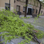 Diverses comarques de la província de Toledo es troben en alerta groga davant el risc de fortes ratxes de vent.