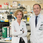 La doctora Noemí Reguart y el doctor Aleix Prat, coordinadores del estudio.