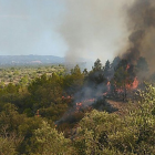 Imagen del fuego, ubicado montaña arriba cerca del kilómetro 28 de la carretera C-12.