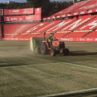 El club raspará el campo y sembrará una nueva hierba de cara al invierno.