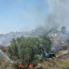 Una imatge de l'incendi.