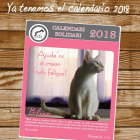 Gaia Tarragona presenta el seu calendari solidari 2018