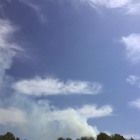 El foc s'ha originat en una zona forestal a la Savinosa.