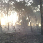 Imatge de l'incendi de la vegetació del Mas de Mestres del Morell.