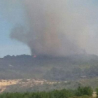 El foc ha cremat zona agrícola, pi blanc i matoll.