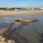 La platja de la Pelliseta bruta en un dels darrers episodis, al desembre, que es va repetir fa uns dies.