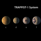 Il·lustració del sistema estel·lar, que té set planetes de massa similar a la Terra.