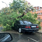 El vent ha provocat caigudes d'arbres i danys en mobiliari i vehicles a Reus.