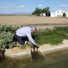 El presidente de la comunidad de regantes de la Derecha del Ebro, Manel Masià, abriendo el paso del agua a un campo de arroz.