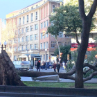 Un árbol ha caído en la Rambla Nova.