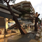 Un arbre caigut a sobre d'un comerç al carrer Carles Buigas de Salou
