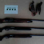 Imatge de les armes i les peces caçades comissades.
