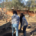 Técnicas de FADAA trabajando en la finca con los animales dormidos.