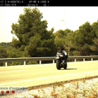 Imatge del motorista denunciat penalment per circular a més de 220 km/h per la N-420 captada pel radar dels Mossos d'Esquadra. Imatge del 25 de setembre de 2017