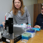 Els investigadors Lluís Marsal i Elisabet Xifré, davant de l'aparell d'espectroscòpia de reflectància interferomètrica que han utilitzat per desenvolupar el sensor, un mètode òptic que permet detectar nivells de senyal ínfims.