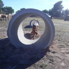 El parc caní està equipat amb un circuit d'agility on els gossos poden entrenar o jugar.
