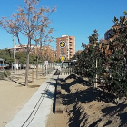 Imagen de los árboles plantados en el parque del Ferrocarril de Reus.