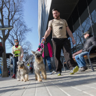 Una imatge d'arxiu d'una passejada de gossos al municipi.