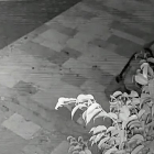 El hombre cometió un robo con fuerza en un edificio del Casco Antiguo de Reus.