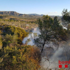 El fuego quema masa forestal y un campo de olivos en la zona de las Barraques.