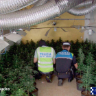 Pla obert d'un agents dels Mossos d'Esquadra i un de la Guàrdia Urbana de Reus, d'esquenes, observant la plantació de marihuana localitzada a Reus. Imatge publicada el 6 de juny del 2018
