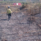 Han cremat 2,9 hectàrees de vegetació prop de l'N-340 a la Canonja.
