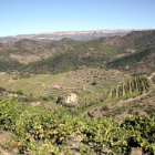Imatge general de diverses vinyes al terme municipal de Porrera, al Priorat, amb la Serra de Montsant al fons, el 18 de setembre de 2015.