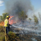 Un bombero trabajando para apagar el fuego del campo de trigo de Constantí.