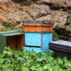 Una caixa amb abelles que forma part del projecte de la caixa de música instal·lada a Tarragona.
